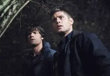 Profile image of Sam and Dean