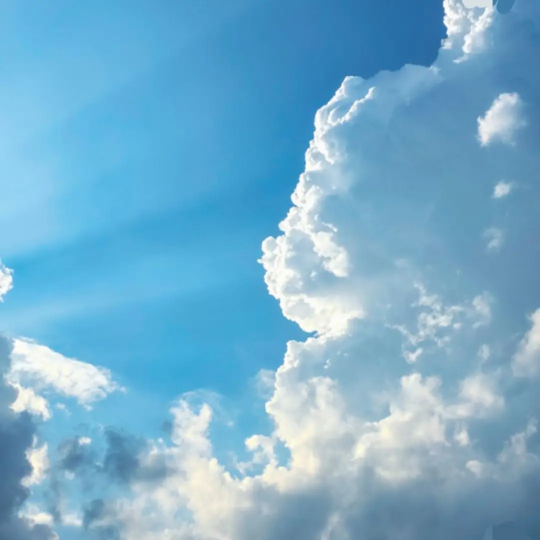 GlazedCube3729의 PWS K.A KID 선수