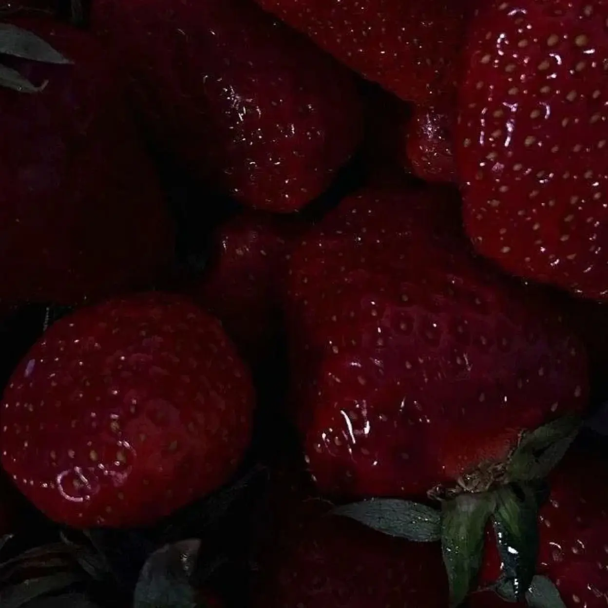 348348의 메.료(메이드료슈)