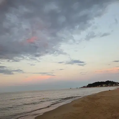 Profile image of 고고프렌즈