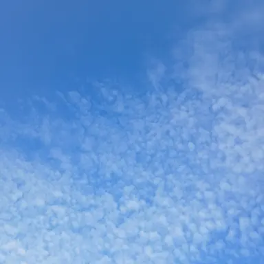 Profile image of 구정모