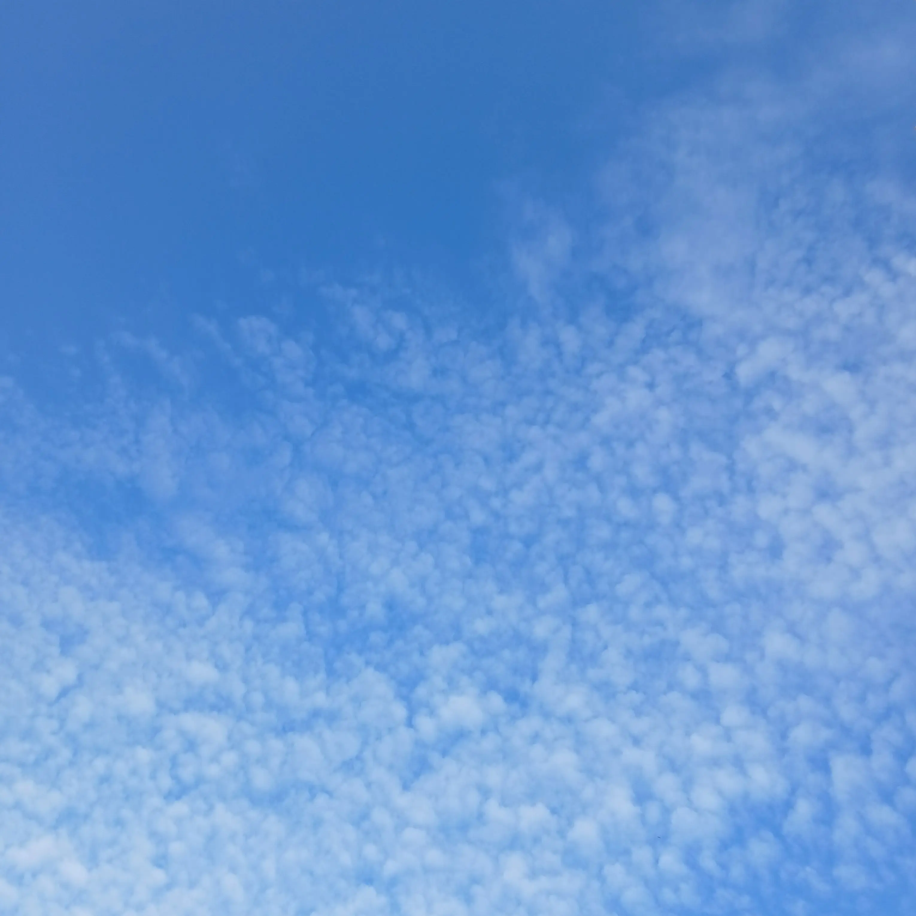 ShiftyFlask2076의 구정모