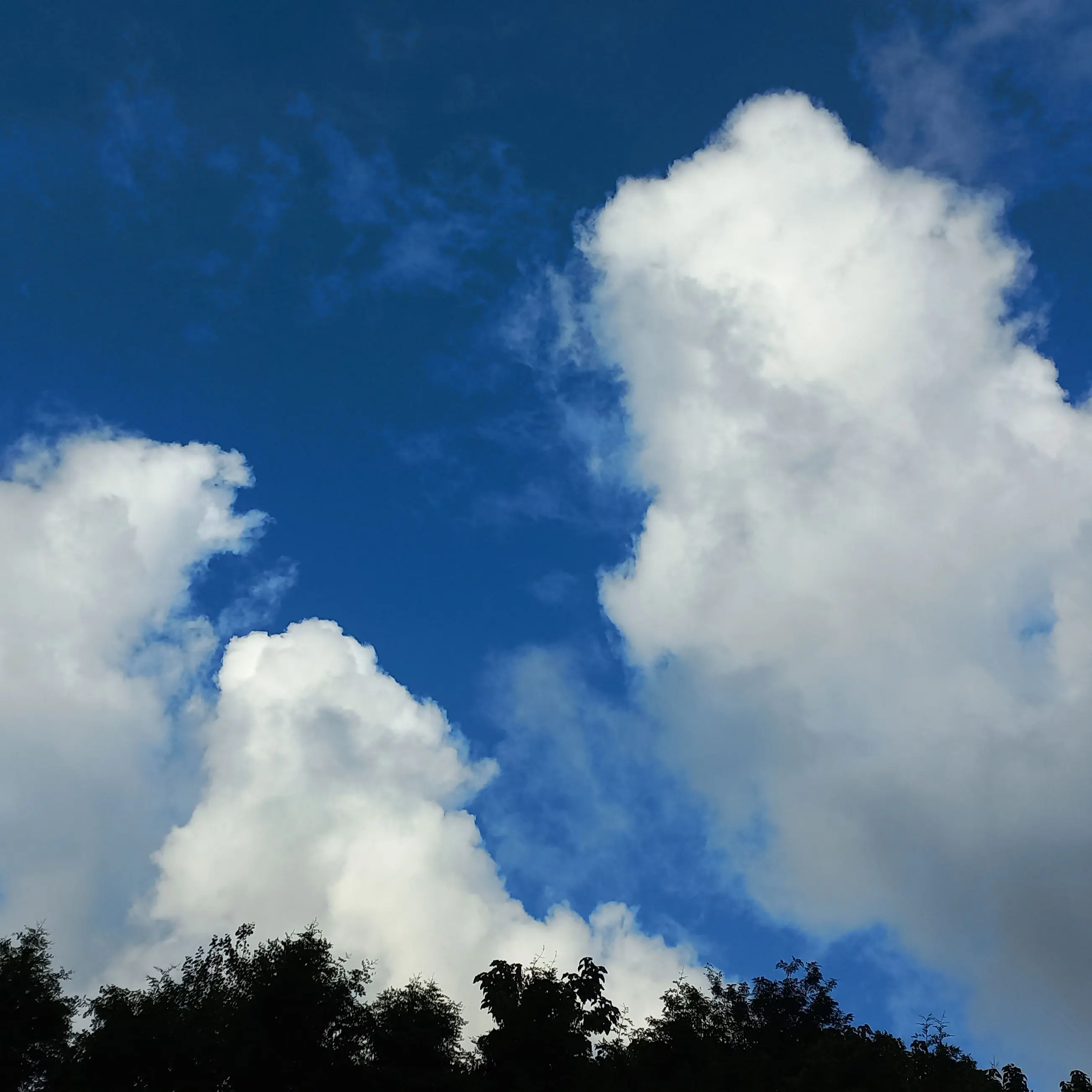 YeastyPhoto3329의 ...?-미수반과 장애인 유저.