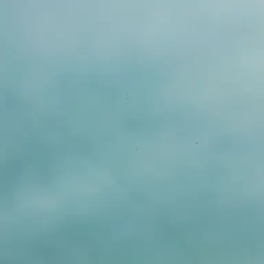 Profile image of 공룡