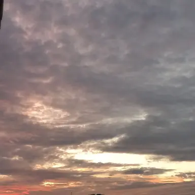 Profile image of 덕개