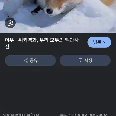 Profile image of 여우