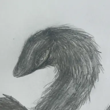 Profile image of The. Black