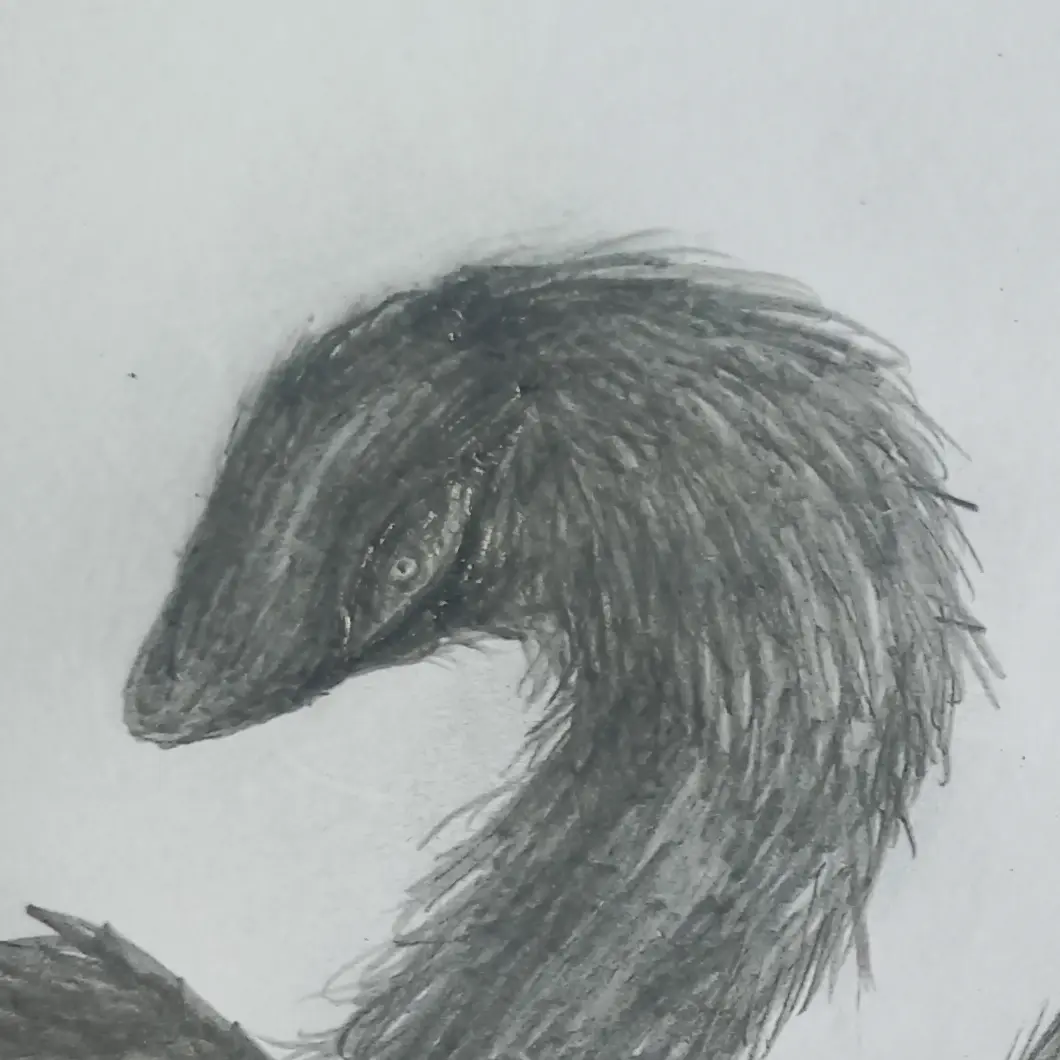 kimdragonY의 Black
