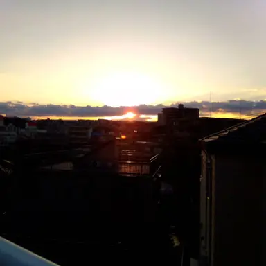 Profile image of ボス