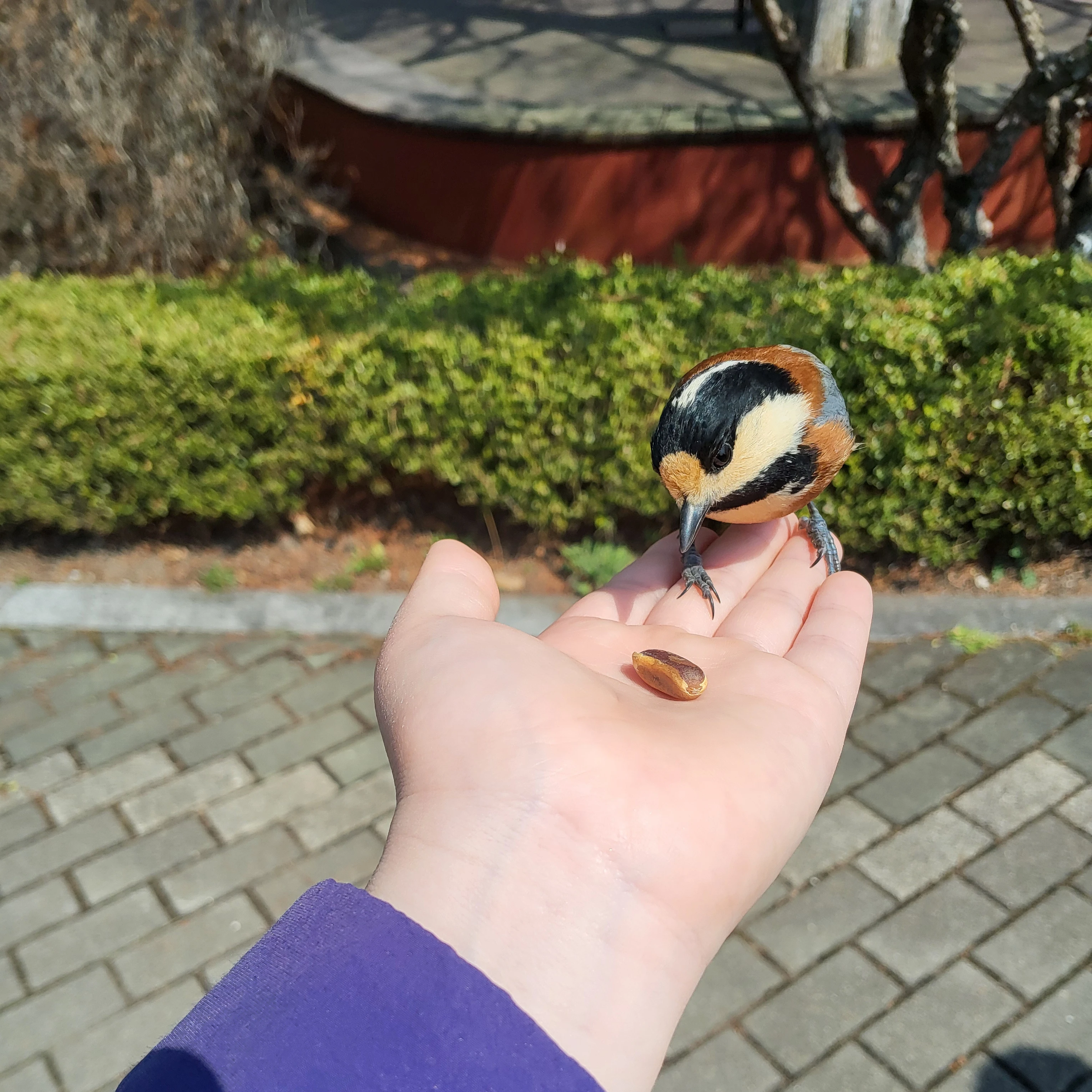 네일아트 샵에온손님