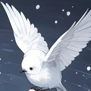 Profile image of 폴리