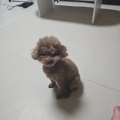 Profile image of 성진