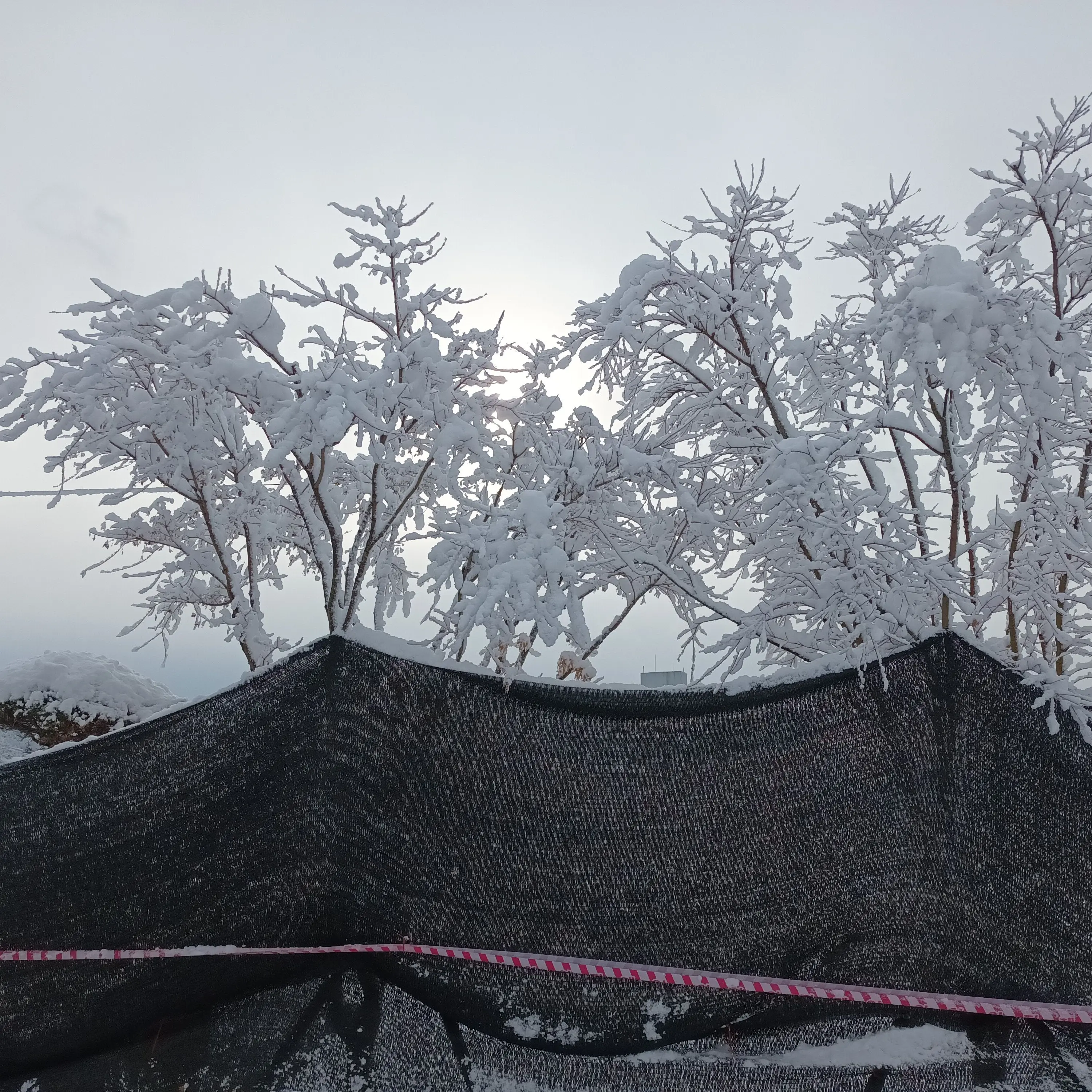 CattyFog3042의 여자친구 윤이샘