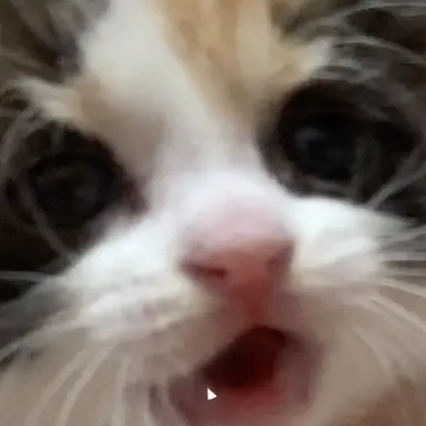 Profile image of 쉐도우밀크