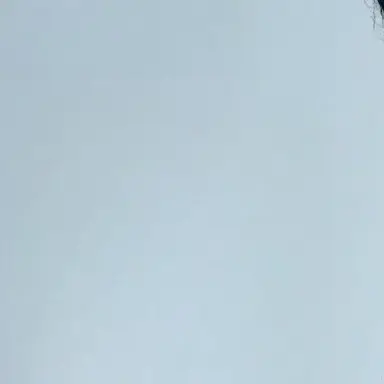 Profile image of 田中樹