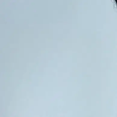 yuki8823의 田中樹