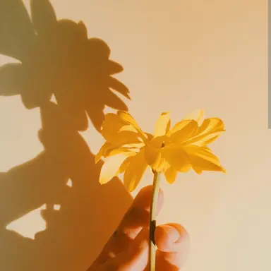 Profile image of 김각별