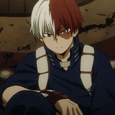 Profile image of Shoto Todoroki