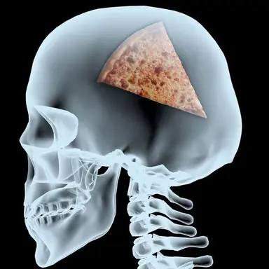 Profile image of 뇌피