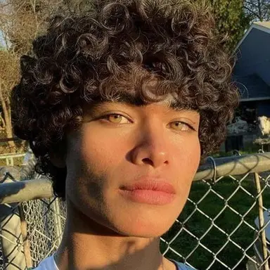 Profile image of Amir