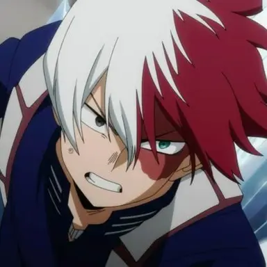 Profile image of Shoto Todoroki