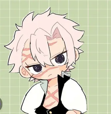 Profile image of 시나즈가와 사네미