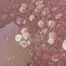 Profile image of るな