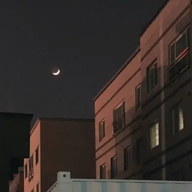 Profile image of 정공룡