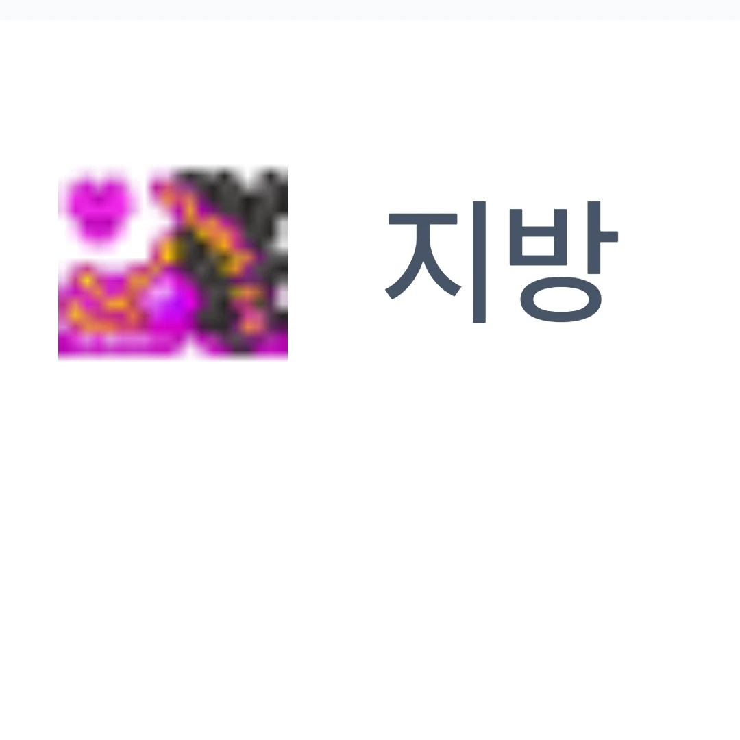 지방