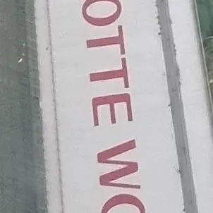 Profile image of 공룡
