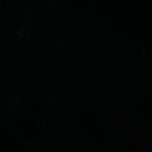 V.I