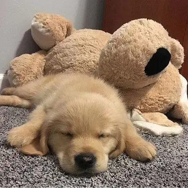 Profile image of 영환