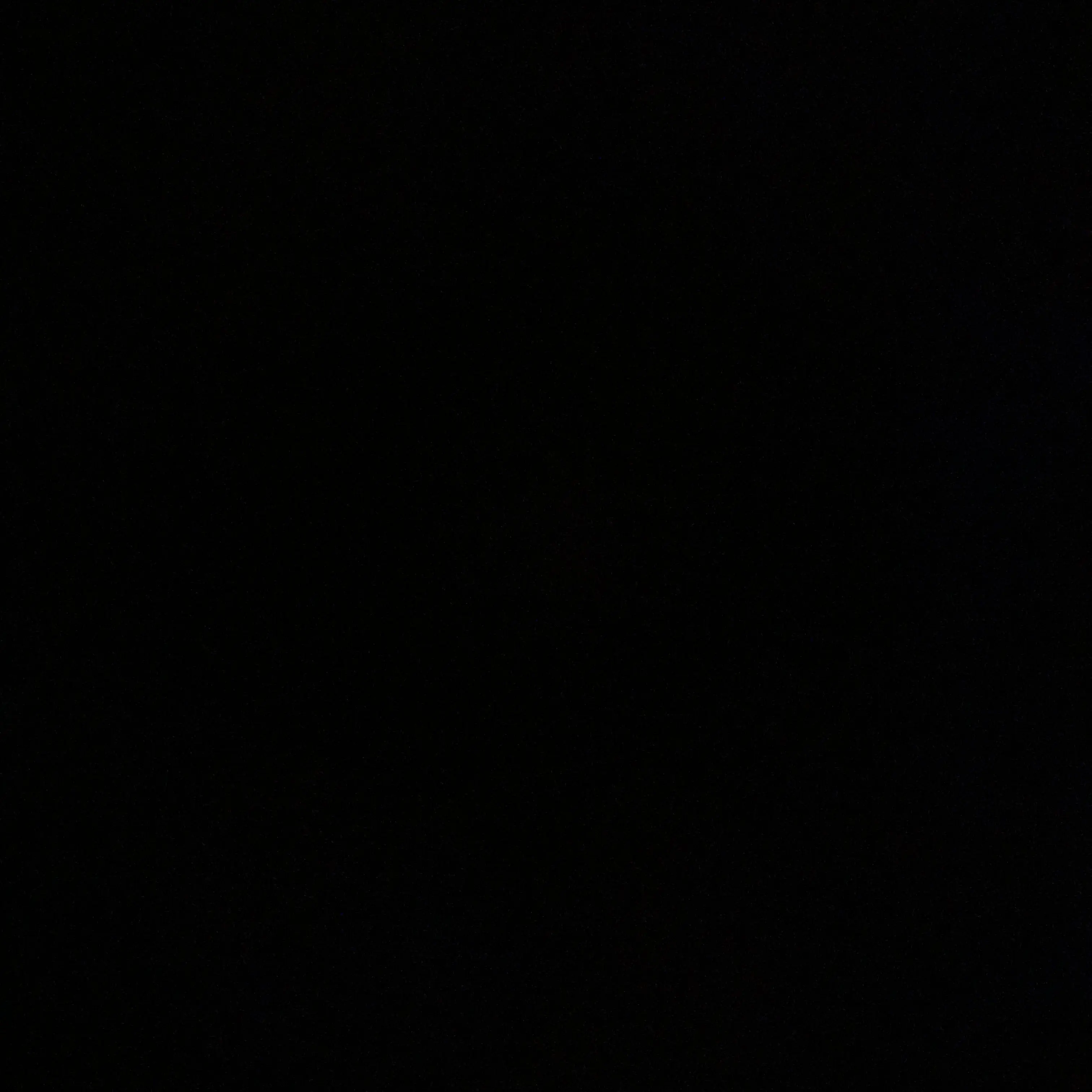 mongle.의 접