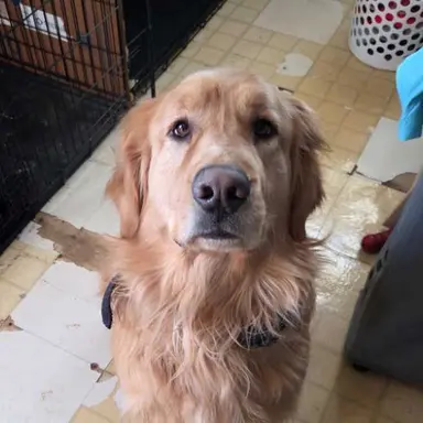 Profile image of Max