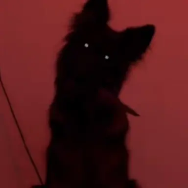 Profile image of Titan