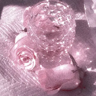 Profile image of 셀리