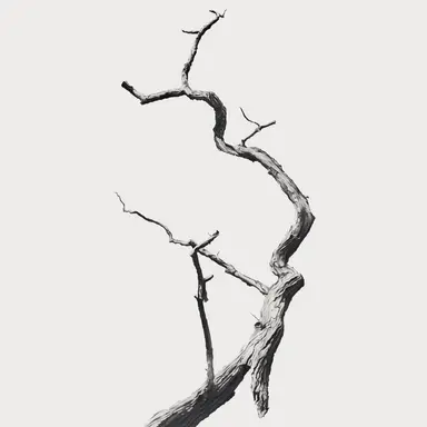 Profile image of 나무