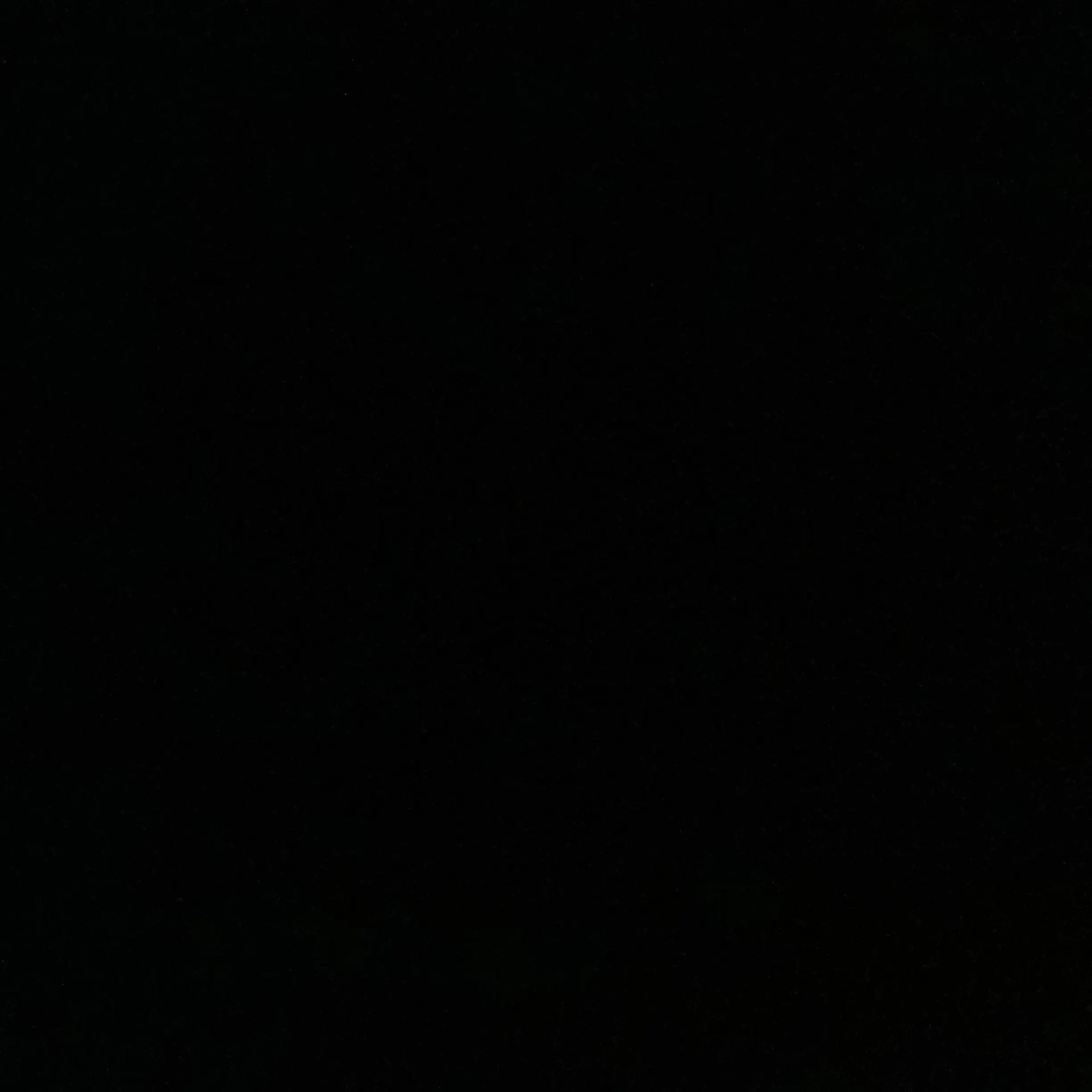 BitterMine1838의 강아지수인인 나와 고양이수인인 백인호