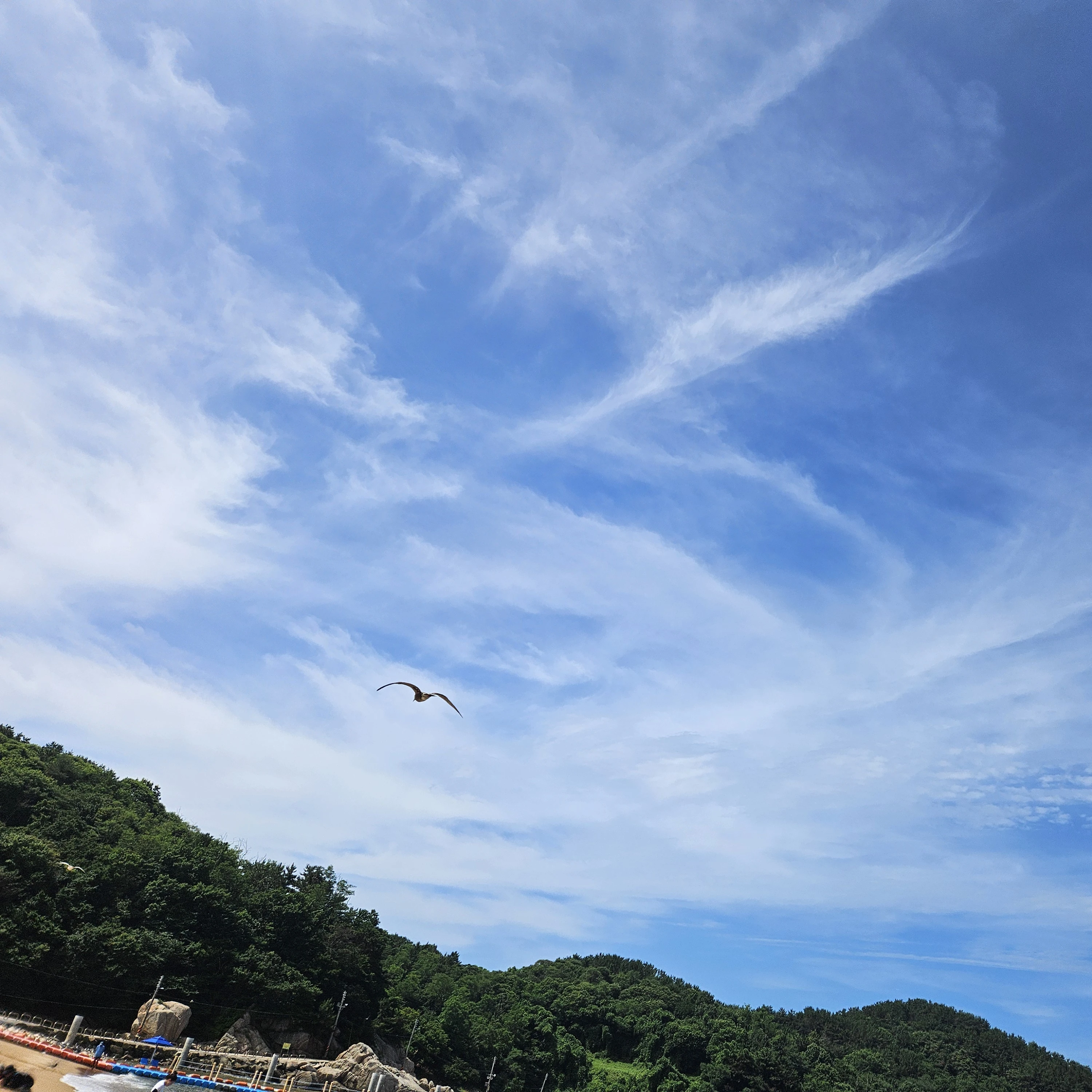송형준