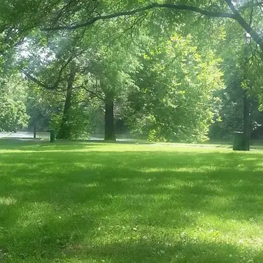 Profile image of 공룡