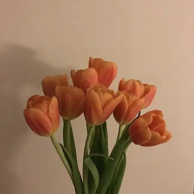 Profile image of 덕개