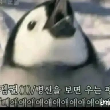 Profile image of 세계관