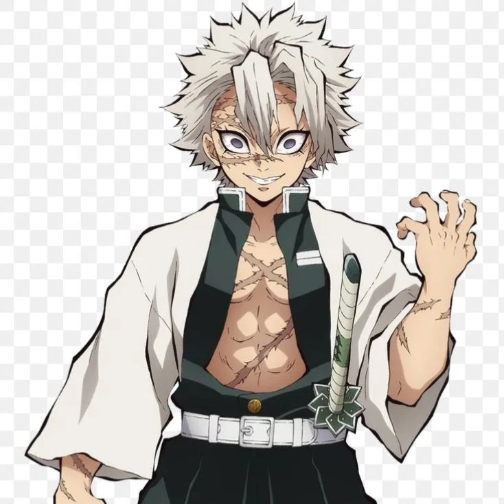 시나즈가와 사네미