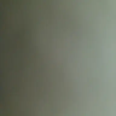 Profile image of 이환