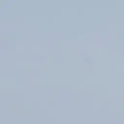 Profile image of 虎杖悠仁