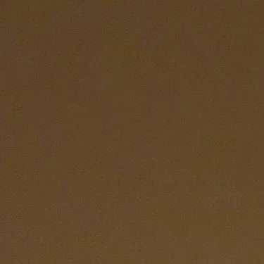 학폭 일진