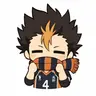 Profile image of Yu Nishinoya