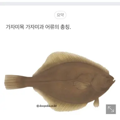 Profile image of 정미