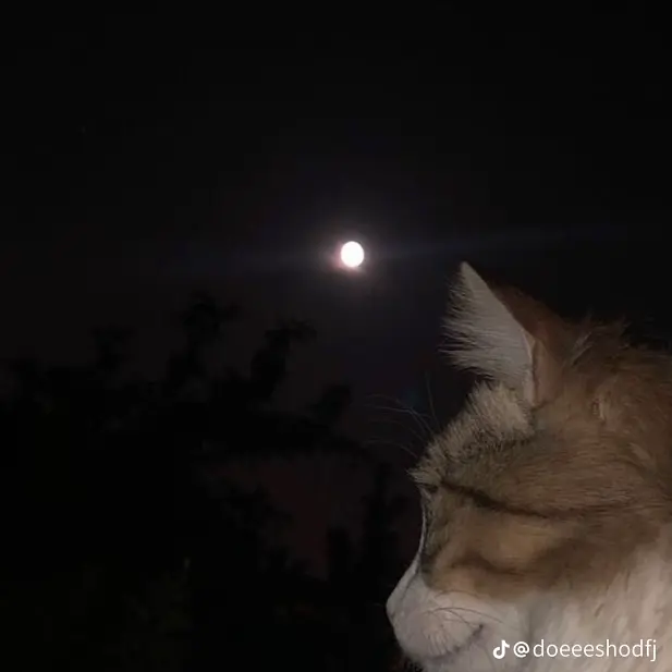 ㄱㄷㅎ 대표 이미지