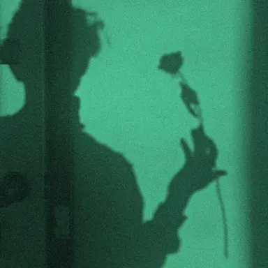 Profile image of 톰 펠튼